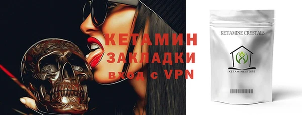 прущие грибы Новодвинск