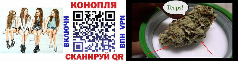 закладки  Ступино  Канабис сатива 